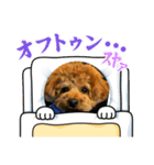 かわいいジェ4（個別スタンプ：3）