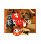 かわいいジェ4（個別スタンプ：4）