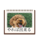 かわいいジェ4（個別スタンプ：5）