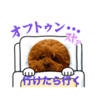 かわいいジェ4（個別スタンプ：8）