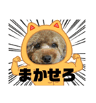かわいいジェ4（個別スタンプ：9）