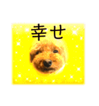 かわいいジェ4（個別スタンプ：12）