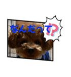 かわいいジェ4（個別スタンプ：14）