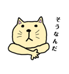 ヘタくそ落書き猫（しろ）（個別スタンプ：16）