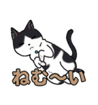 みんなの可愛い猫さん（個別スタンプ：1）
