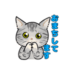みんなの可愛い猫さん（個別スタンプ：4）