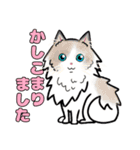 みんなの可愛い猫さん（個別スタンプ：5）