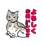 みんなの可愛い猫さん（個別スタンプ：6）