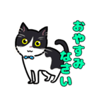 みんなの可愛い猫さん（個別スタンプ：9）