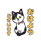 みんなの可愛い猫さん（個別スタンプ：10）