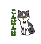 みんなの可愛い猫さん（個別スタンプ：11）