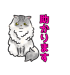 みんなの可愛い猫さん（個別スタンプ：13）