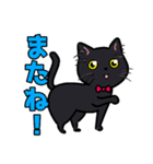 みんなの可愛い猫さん（個別スタンプ：16）