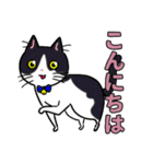 みんなの可愛い猫さん（個別スタンプ：17）