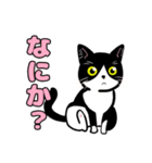 みんなの可愛い猫さん（個別スタンプ：20）