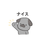黒パグだよ（個別スタンプ：2）