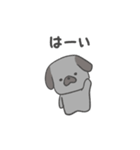 黒パグだよ（個別スタンプ：9）