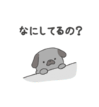 黒パグだよ（個別スタンプ：23）