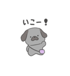 黒パグだよ（個別スタンプ：27）