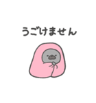 黒パグだよ（個別スタンプ：31）
