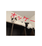 ちょろといっしょ（個別スタンプ：3）