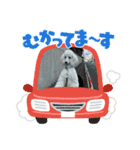 シェリ♡1（個別スタンプ：5）