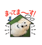 シェリ♡1（個別スタンプ：6）
