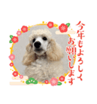 シェリ♡1（個別スタンプ：14）