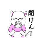 おっと！白猫ちゃん（個別スタンプ：5）