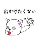 おっと！白猫ちゃん（個別スタンプ：12）