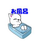 おっと！白猫ちゃん（個別スタンプ：14）