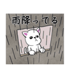 おっと！白猫ちゃん（個別スタンプ：19）
