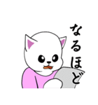 おっと！白猫ちゃん（個別スタンプ：24）