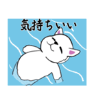 おっと！白猫ちゃん（個別スタンプ：27）