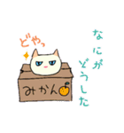 kawaii3cats.（個別スタンプ：1）