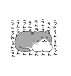 ハチワレ猫のまいにち（個別スタンプ：1）