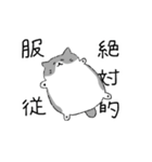 ハチワレ猫のまいにち（個別スタンプ：3）