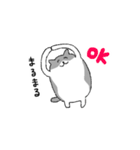 ハチワレ猫のまいにち（個別スタンプ：5）