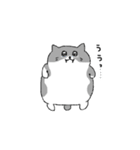 ハチワレ猫のまいにち（個別スタンプ：10）