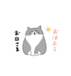 ハチワレ猫のまいにち（個別スタンプ：24）