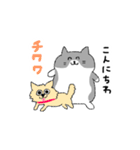 ハチワレ猫のまいにち（個別スタンプ：25）