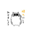 ハチワレ猫のまいにち（個別スタンプ：29）