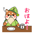 カメ柴#あると助かる！あいさつスタンプ（個別スタンプ：1）