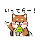 カメ柴#あると助かる！あいさつスタンプ（個別スタンプ：6）
