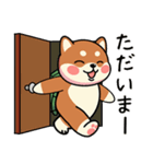 カメ柴#あると助かる！あいさつスタンプ（個別スタンプ：7）