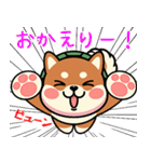 カメ柴#あると助かる！あいさつスタンプ（個別スタンプ：8）