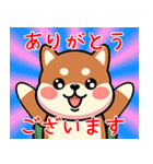カメ柴#あると助かる！あいさつスタンプ（個別スタンプ：14）