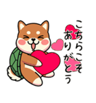 カメ柴#あると助かる！あいさつスタンプ（個別スタンプ：16）