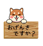 カメ柴#あると助かる！あいさつスタンプ（個別スタンプ：17）