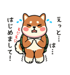 カメ柴#あると助かる！あいさつスタンプ（個別スタンプ：19）